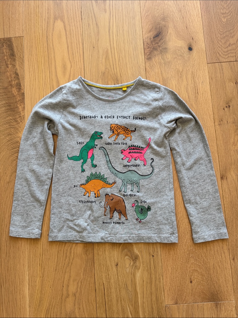 Mini Boden Gray Long-Sleeve Tee with Colorful Dinosaur Prints